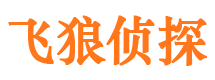 丰城市侦探调查公司